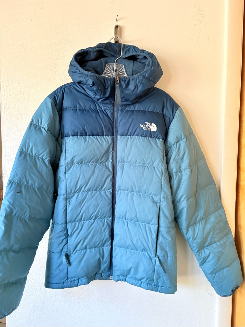 THE NORTH FACE Men’s Alpz Lux 550 Jacket Blue Small